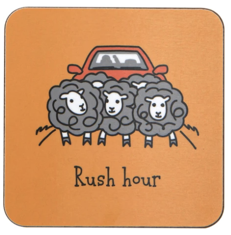 Herdwicks of the Lake District Coasters - Rush Hour
