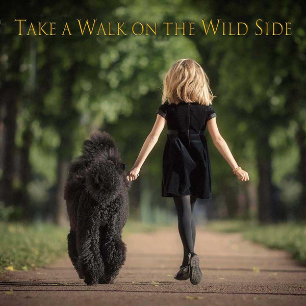 Greeting Card - Take a walk on the wild side